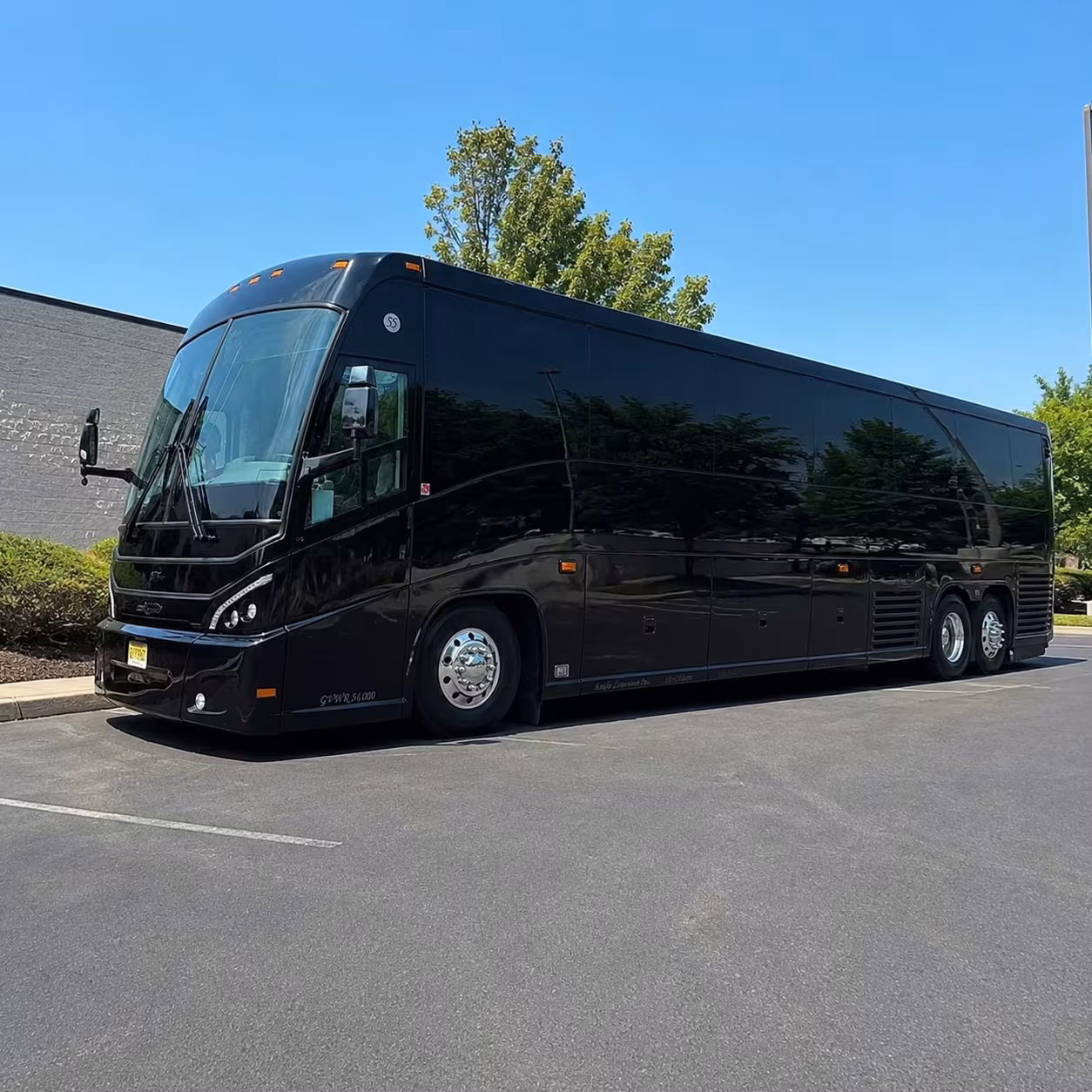 compare long distance transportation options in pharr and beyond