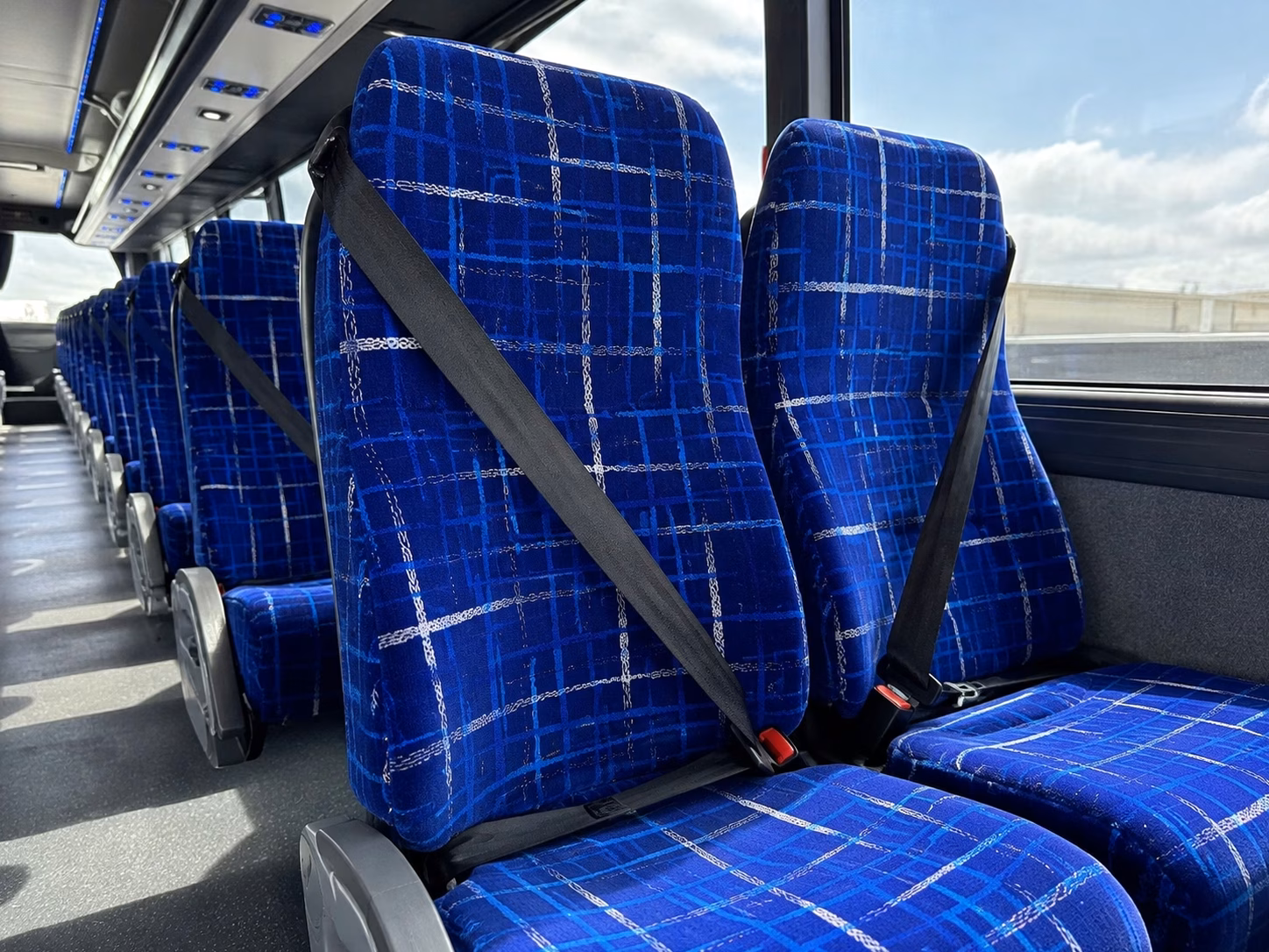 pharr charter bus interior